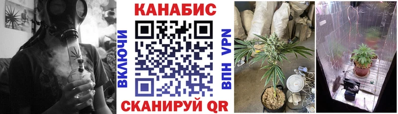 закладка  Яранск  Конопля индика 